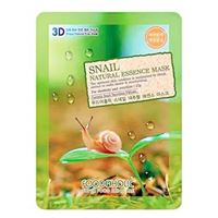 SNAIL 3D 